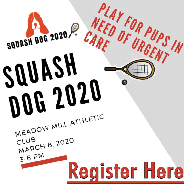 Squash Dog 2020